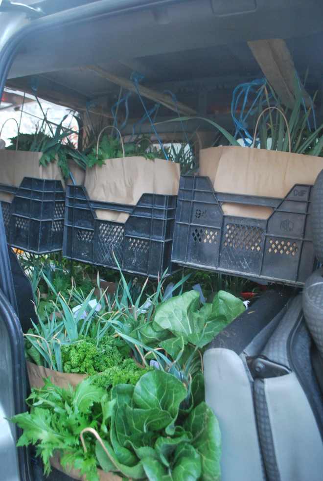 Légumes en suspension!