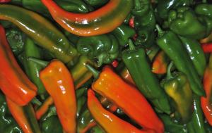 L'intrus avec ses compères... Quelles couleurs !