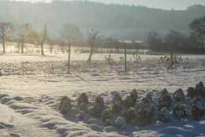 paysage d'il y a quelques jours seulement...