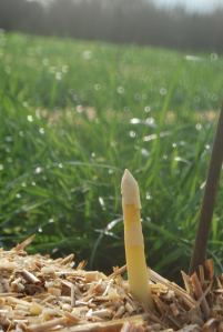 photo du jour à l'extérieur