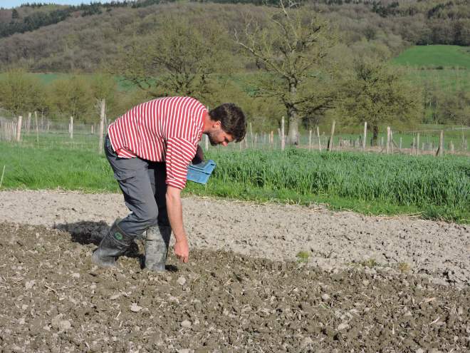 Mais que plante-t-il?!