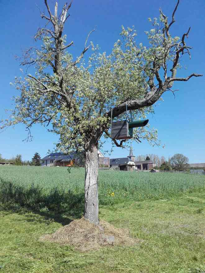 seigle & objet insolite...