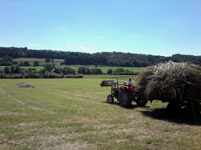 les extras du travail de maraîcher...!