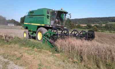 bientôt de la farine bio avec l'épautre des Pousses vertes?! affaire à suivre...!