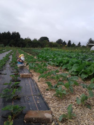 Les Pousses Vertes sont entre de bonnes mains...!