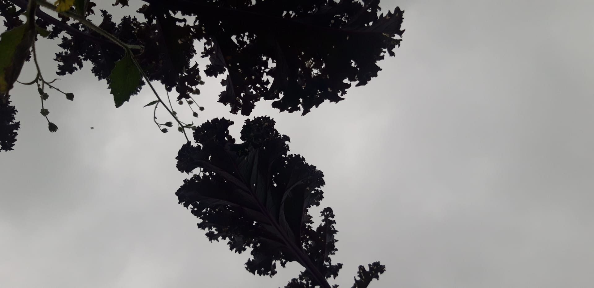 WhatsApp Image 2020-09-05 at 11.08.47-2