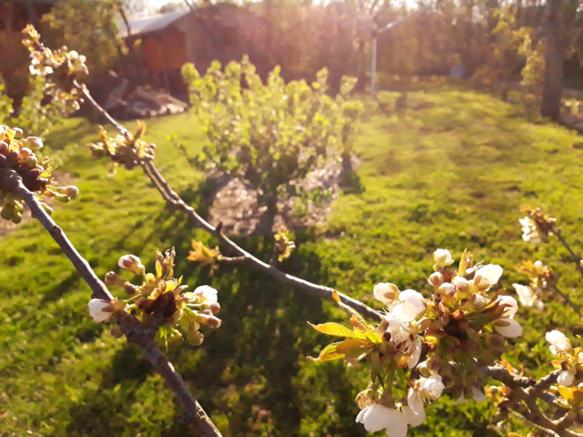 WhatsApp Image 2021-04-25 at 15.11.23